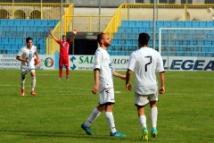 Calcio-Lecco-Seregno-Finale-Playoff-2016-Vignali-Esultanza