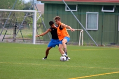 Calcio Fabio Cardinio Luca Rigoni