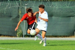 Calcio Lecco Pro Piacenza 2015 Cardinio Calandra