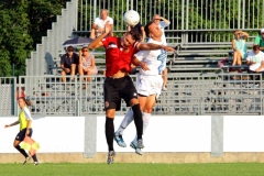 Calcio Lecco Pro Piacenza 2015 França Bini