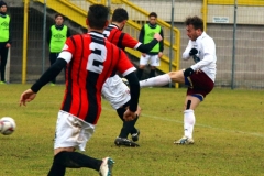 Cardinio al tiro