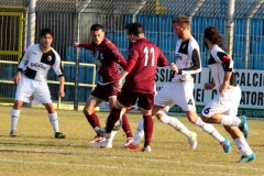 Cardinio in area