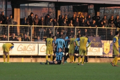 I tifosi gialloblù