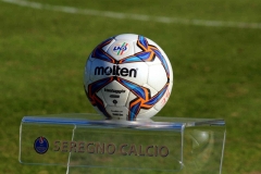 Il pallone della gara