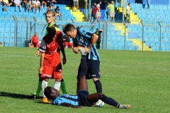 Cardinio soccorre Meyergue