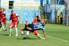 Contatto tra Miale e Joelson