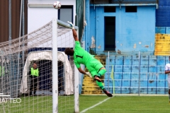 Calcio Lecco Pergolettese 2017 Leoni Tuffo