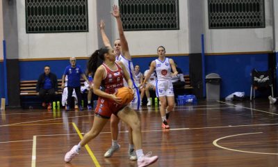 Cibinetto Basket Costa